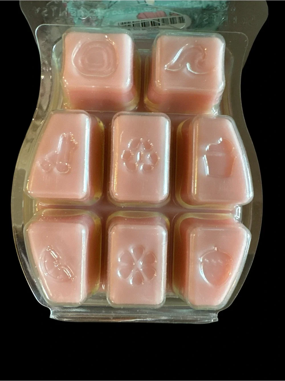 Scentsy Disney Princess True Love Awaits Wax Melt Bar, 2.6 oz (Retired Scent)